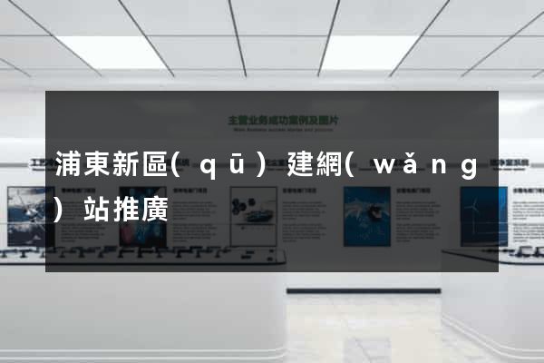 浦東新區(qū)建網(wǎng)站推廣