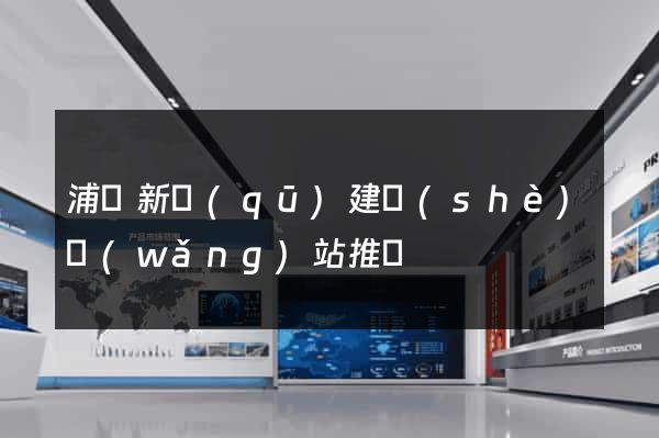 浦東新區(qū)建設(shè)網(wǎng)站推廣