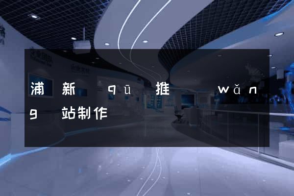 浦東新區(qū)推廣網(wǎng)站制作