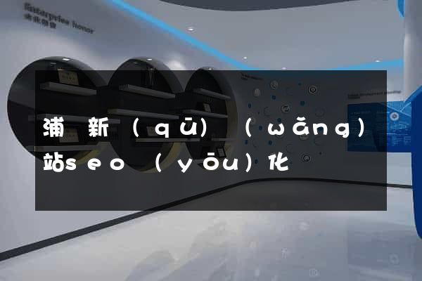 浦東新區(qū)網(wǎng)站seo優(yōu)化