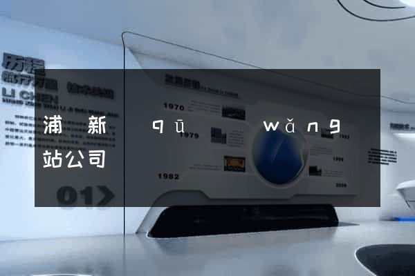 浦東新區(qū)網(wǎng)站公司