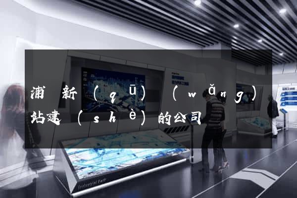 浦東新區(qū)網(wǎng)站建設(shè)的公司