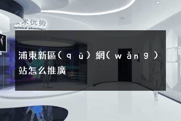 浦東新區(qū)網(wǎng)站怎么推廣