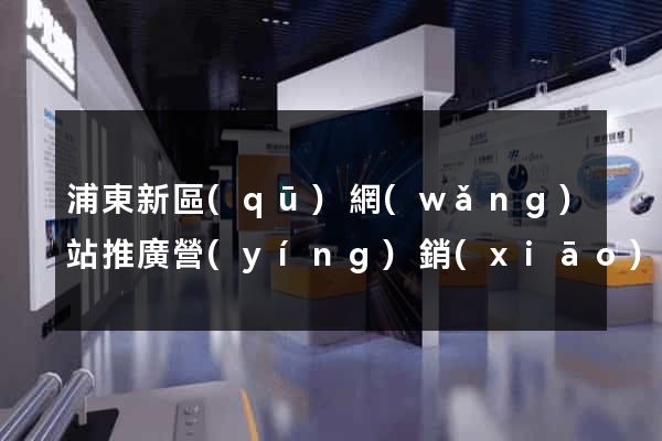 浦東新區(qū)網(wǎng)站推廣營(yíng)銷(xiāo)