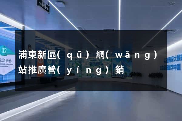 浦東新區(qū)網(wǎng)站推廣營(yíng)銷