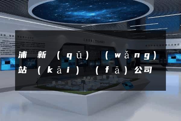 浦東新區(qū)網(wǎng)站開(kāi)發(fā)公司