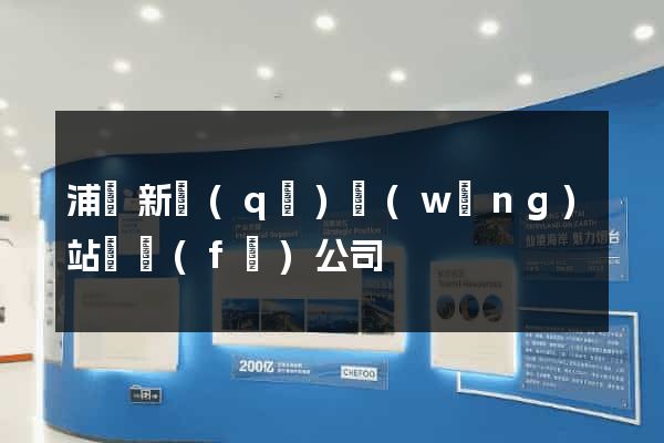 浦東新區(qū)網(wǎng)站開發(fā)公司