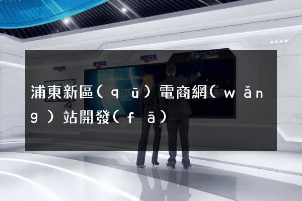 浦東新區(qū)電商網(wǎng)站開發(fā)