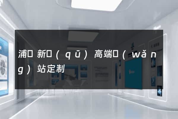 浦東新區(qū)高端網(wǎng)站定制