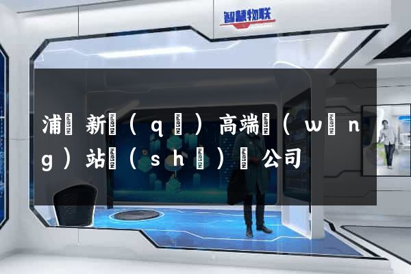 浦東新區(qū)高端網(wǎng)站設(shè)計公司