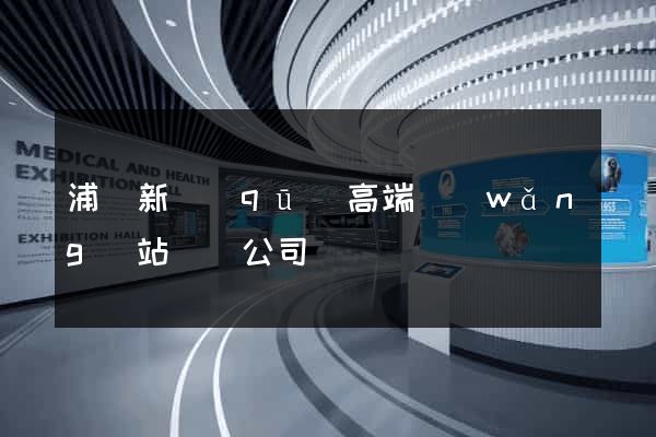 浦東新區(qū)高端網(wǎng)站設計公司