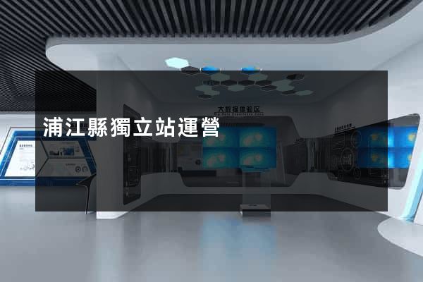 浦江縣獨立站運營