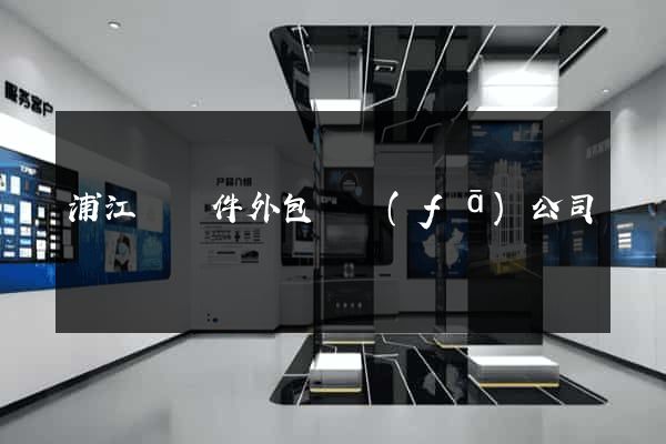 浦江縣軟件外包開發(fā)公司