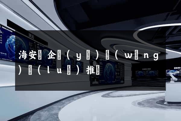 海安縣企業(yè)網(wǎng)絡(luò)推廣