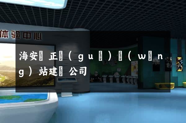 海安縣正規(guī)網(wǎng)站建設公司
