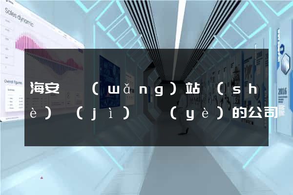 海安縣網(wǎng)站設(shè)計(jì)專業(yè)的公司