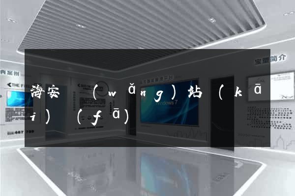 海安縣網(wǎng)站開(kāi)發(fā)