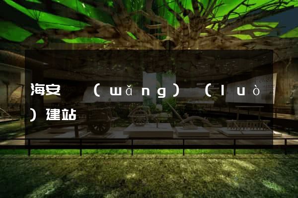 海安縣網(wǎng)絡(luò)建站