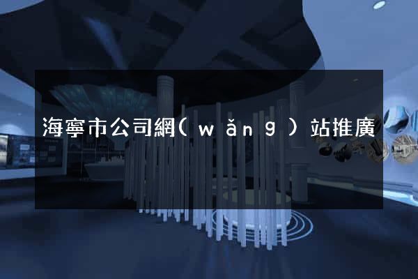 海寧市公司網(wǎng)站推廣