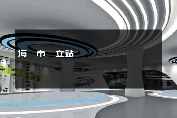 海門市獨立站運營