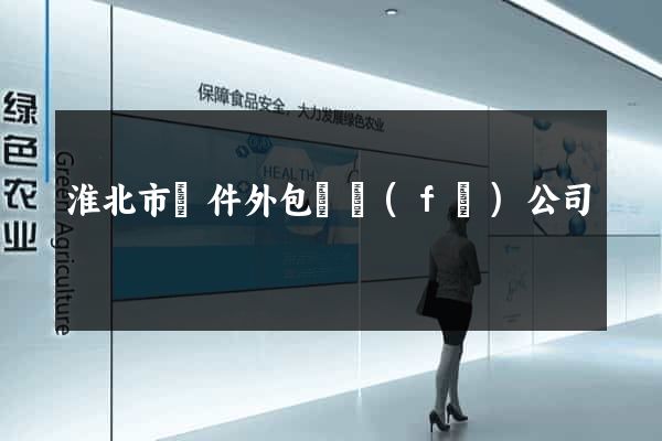 淮北市軟件外包開發(fā)公司
