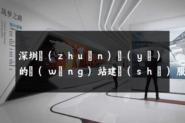 深圳專(zhuān)業(yè)的網(wǎng)站建設(shè)服務(wù)