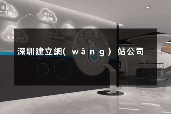 深圳建立網(wǎng)站公司