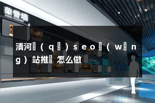 清河區(qū)seo網(wǎng)站推廣怎么做