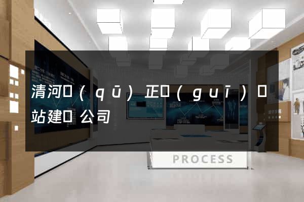 清河區(qū)正規(guī)網站建設公司