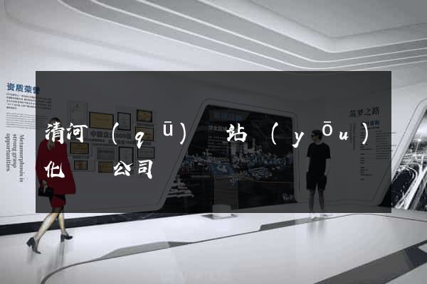 清河區(qū)網站優(yōu)化設計公司