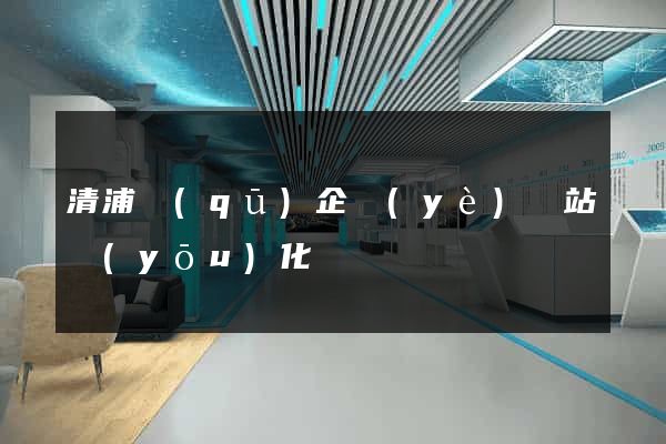 清浦區(qū)企業(yè)網站優(yōu)化