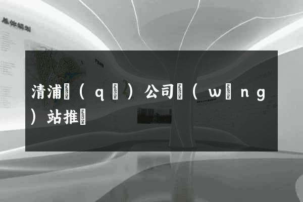 清浦區(qū)公司網(wǎng)站推廣