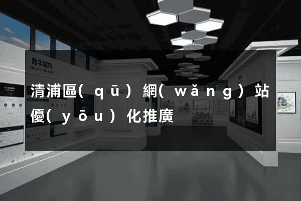 清浦區(qū)網(wǎng)站優(yōu)化推廣