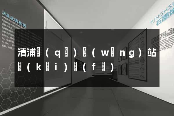 清浦區(qū)網(wǎng)站開(kāi)發(fā)