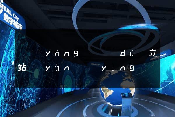 渦陽(yáng)縣獨(dú)立站運(yùn)營(yíng)