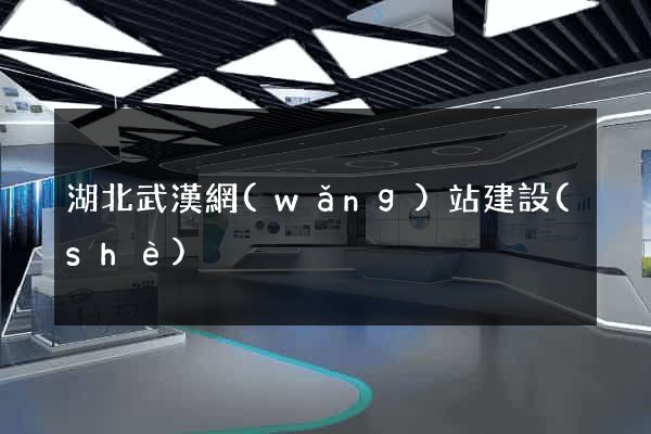 湖北武漢網(wǎng)站建設(shè)