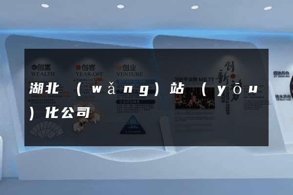 湖北網(wǎng)站優(yōu)化公司