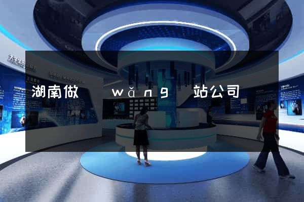 湖南做網(wǎng)站公司