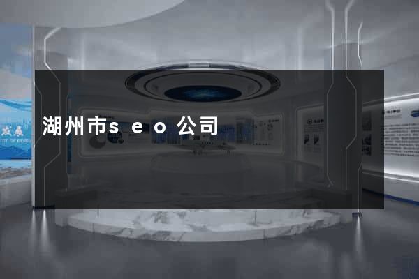 湖州市seo公司