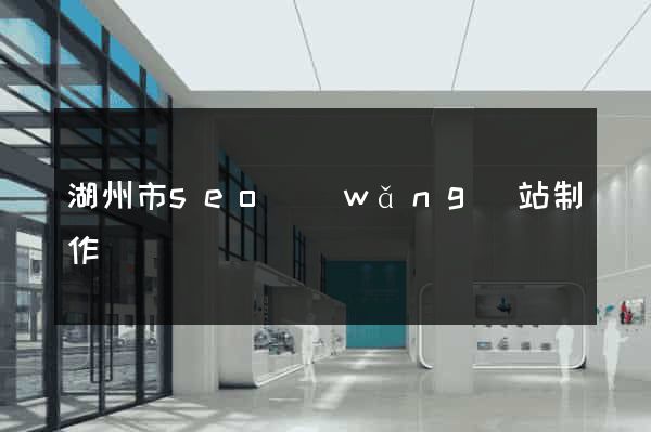 湖州市seo網(wǎng)站制作