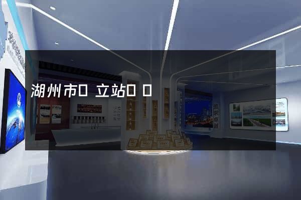 湖州市獨立站運營