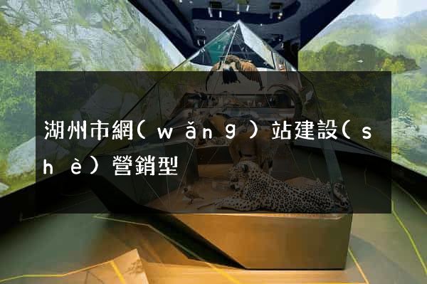 湖州市網(wǎng)站建設(shè)營銷型
