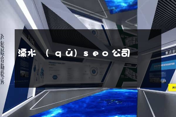 溧水區(qū)seo公司