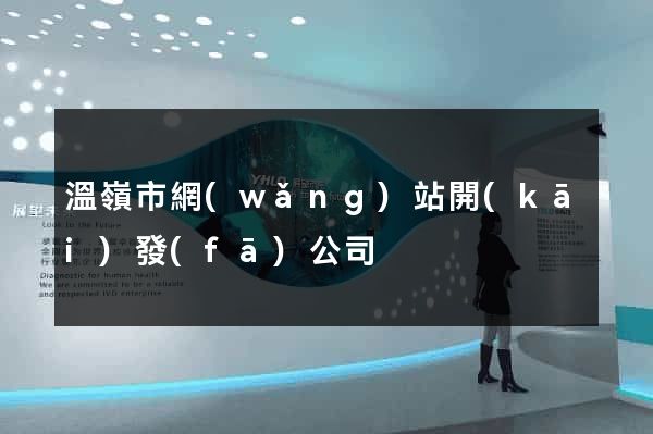溫嶺市網(wǎng)站開(kāi)發(fā)公司