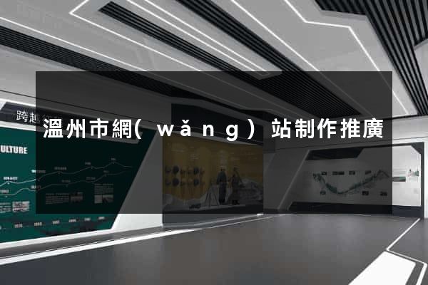 溫州市網(wǎng)站制作推廣