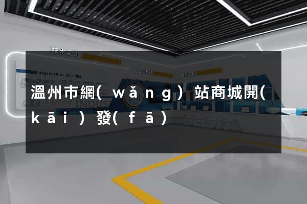 溫州市網(wǎng)站商城開(kāi)發(fā)