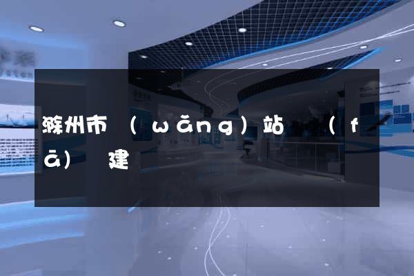 滁州市網(wǎng)站開發(fā)與建設