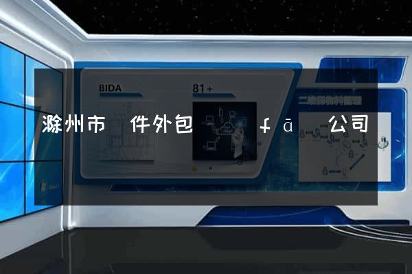 滁州市軟件外包開發(fā)公司