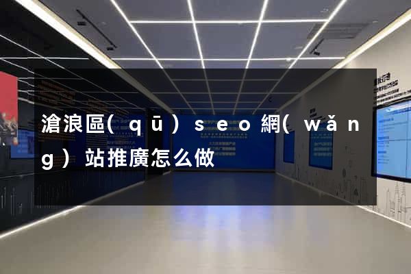 滄浪區(qū)seo網(wǎng)站推廣怎么做