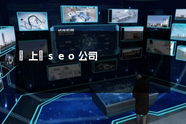 潁上縣seo公司